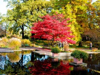 Zekeriyaköy’deki park ve bahçeler yenileniyor