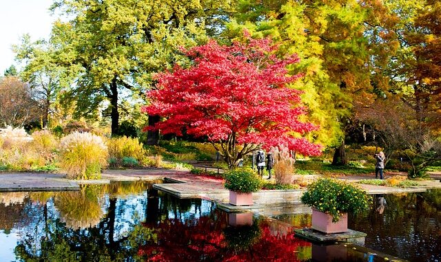 Zekeriyaköy’deki park ve bahçeler yenileniyor Zekeriyaköy’deki park ve bahçeler yenileniyor